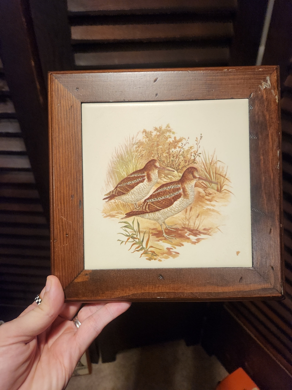 Vintage Brown Framed Bird Tile Trivet